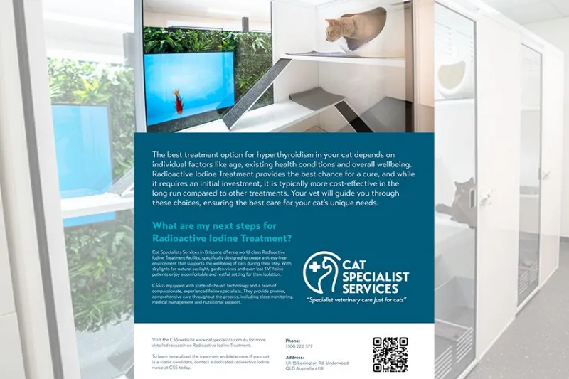 SVM - Referral vet brochures Cat Specialist Services Brochure