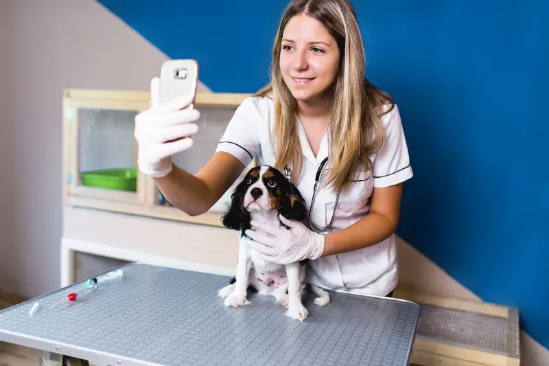 Veterinarian happily taking selfie with Cavalier King Charles Spaniel puppy
