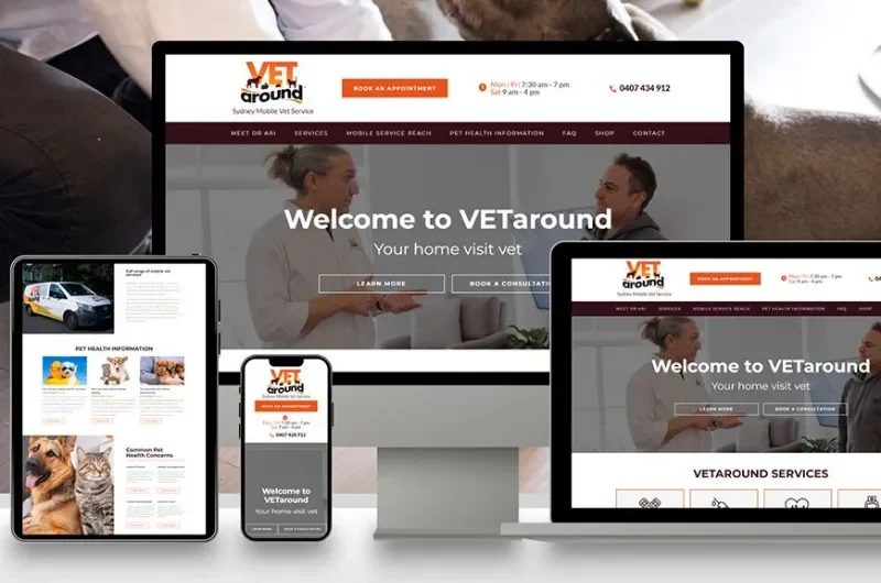 Vetaround website