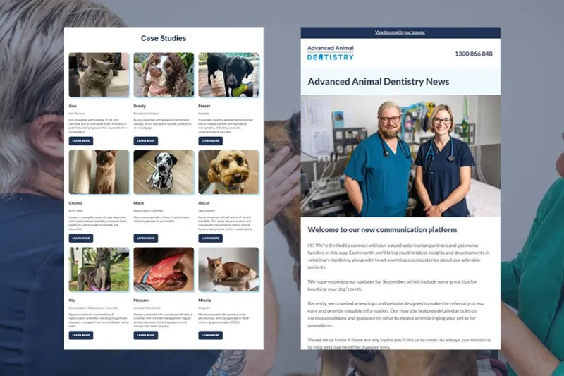 Advanced Animal Dentistry case studies and email marketing content created by SVMG for veterinary client engagement and specialist practice growth