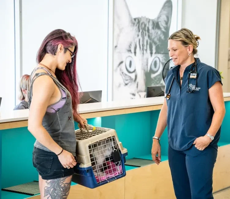 Veterinary professional assisting a pet owner with a cat carrier in a modern clinic featured in SVMG referral veterinary marketing.