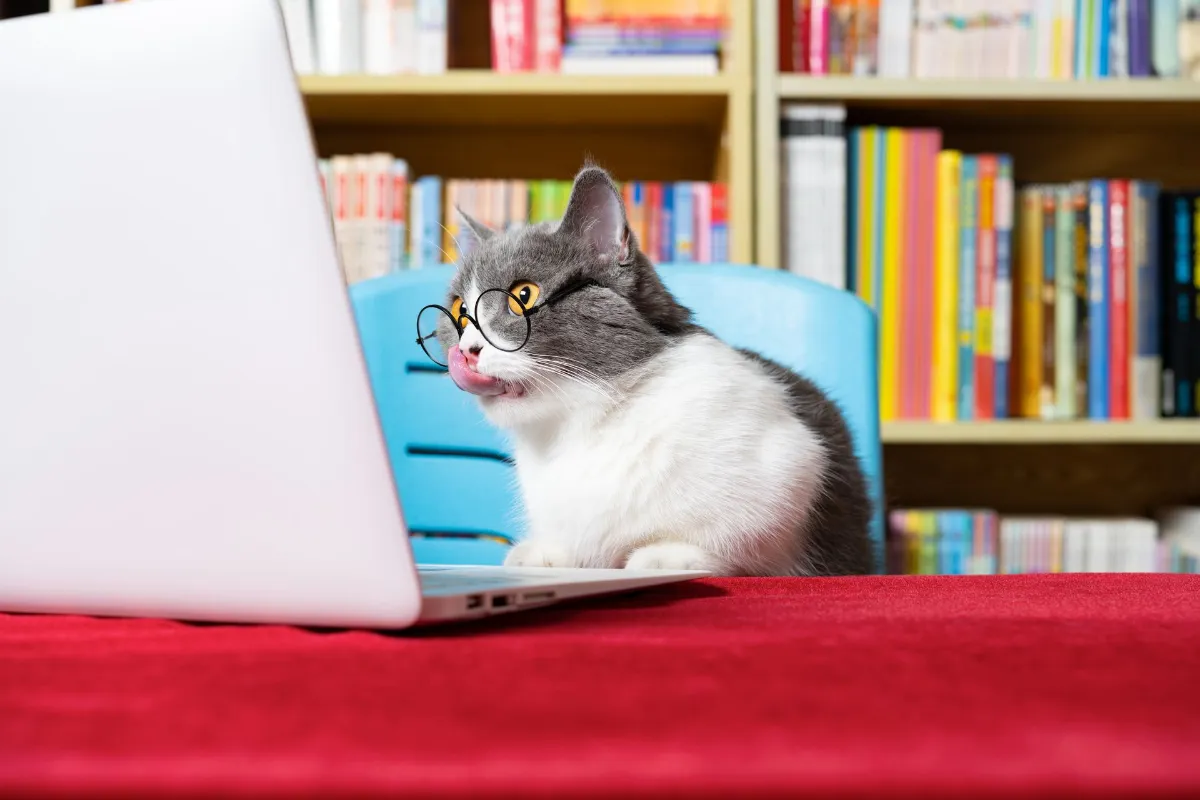 Playful cat wearing glasses while sitting at a laptop in front of bookshelves, representing veterinary marketing, social media engagement, online learning, and digital pet content creation.