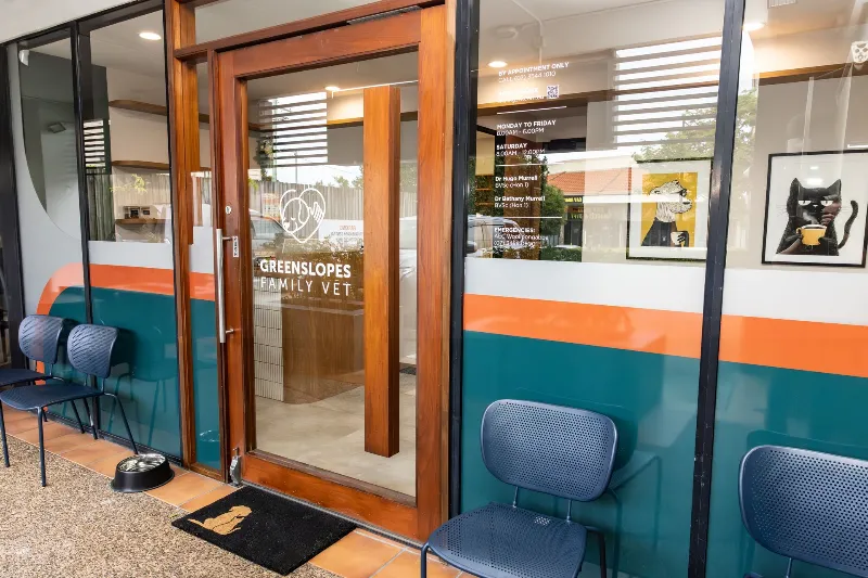 Veterinary clinic entrance and branding featured in SVMG practice visibility and client engagement marketing .