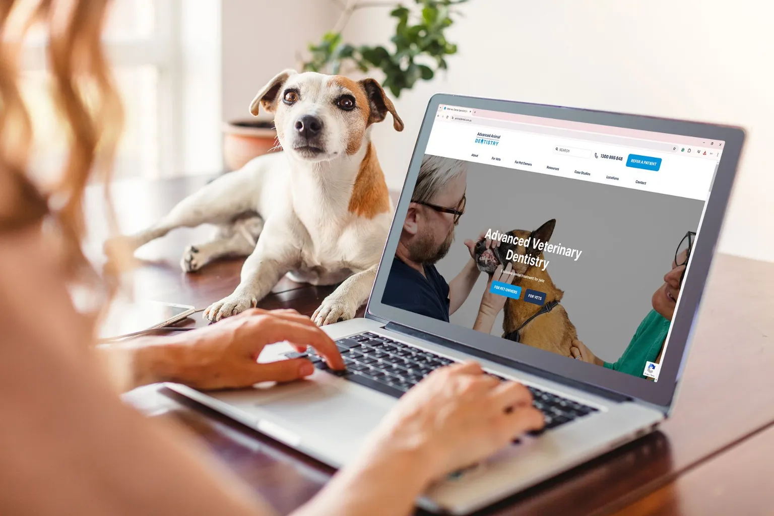 Pet owner browsing a veterinary website beside a dog featured in SVMG veterinary website design and digital marketing.