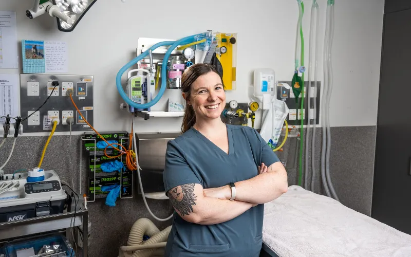 Veterinary professional in a modern treatment room featured in SVMG veterinary branding and clinic marketing content.